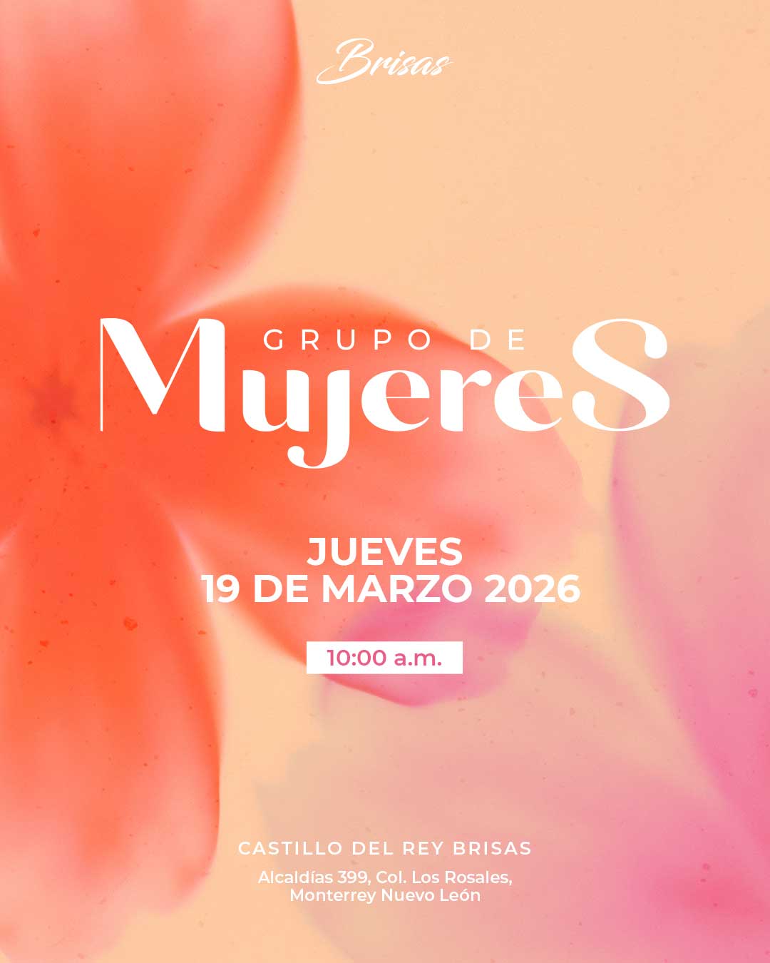 Featured image for “Grupo de Mujeres”