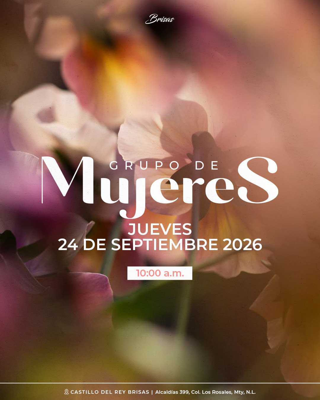 Featured image for “Grupo de Mujeres”
